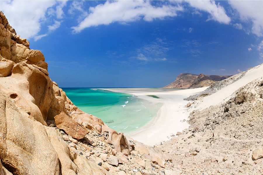 Isla de Socotra, la flora excepcional